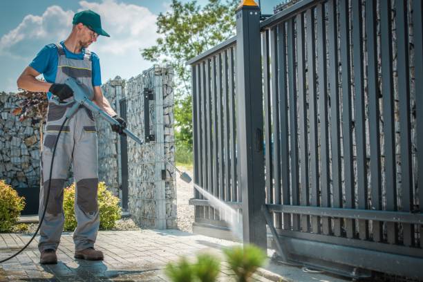 Best Graffiti Removal  in Live Oak, TX