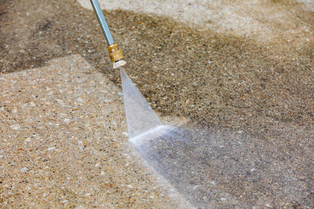 Best Animal Enclosure Cleaning  in Live Oak, TX